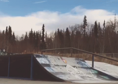 Stall GIF - Skateboard Stunt Trick GIFs