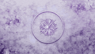 a purple circle with a snowflake in the middle