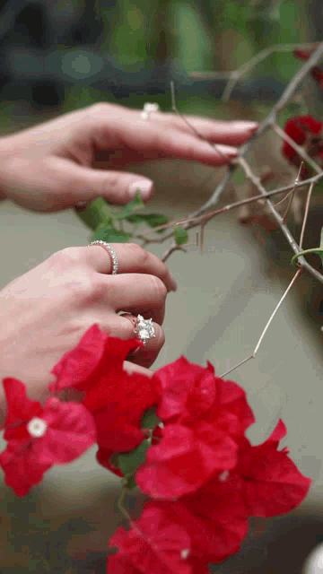 Flowers Shine GIF - Flowers Shine Jewelry GIFs