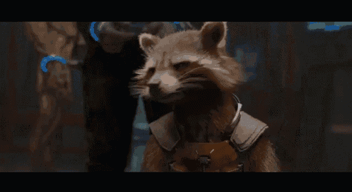 rocket raccoon from guardians of the galaxy