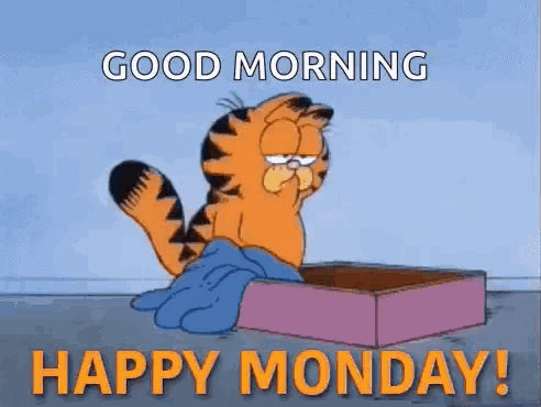 garfield is laying in a box with the words `` good morning happy monday '' written on it .