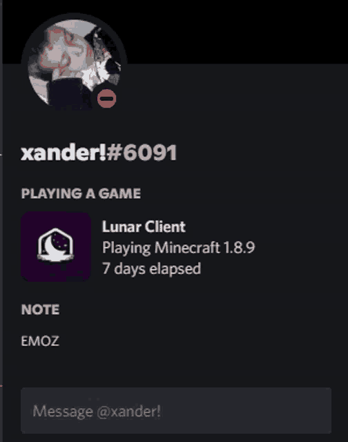 a screenshot of a person 's profile that says xander # 6091