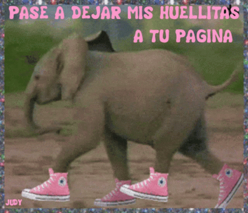 Hola Saludos GIF - Hola Saludos Elephant GIFs