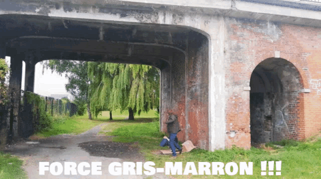 a sign that says force gris-marron !!! under a bridge