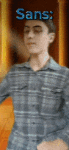 a man in a plaid shirt stands in front of the word sans