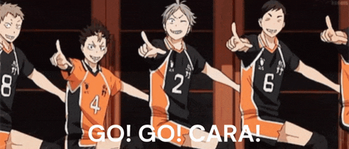 a group of volleyball players are giving a thumbs up with the words go go cara