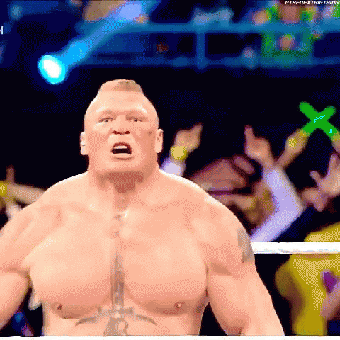 Brock Lesnar Beast GIF
