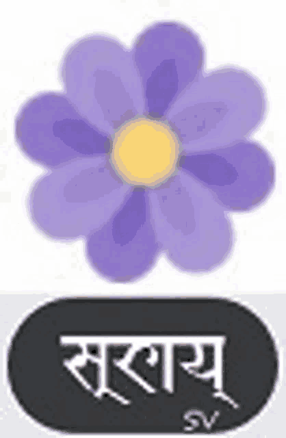 a purple flower with a yellow center is on a white background next to a black button with a purple flower on it .