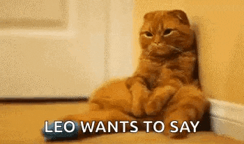 a cat is sitting on the floor leaning against a wall and saying leo wants to say .