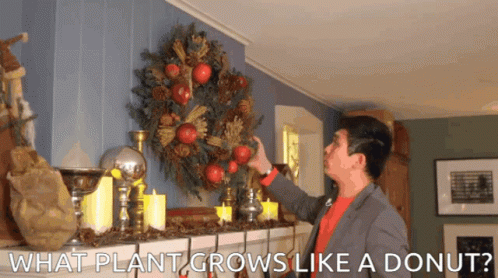 Steven He What GIF - Steven He What Plant GIFs