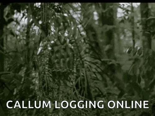 a blurred image of a forest with the words callum logging online on the bottom