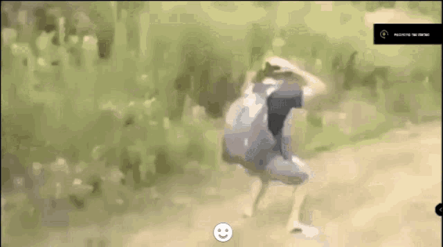 a blurred image of a person with a smiley face on the bottom