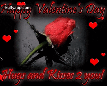 a valentine 's day greeting card with a red rose
