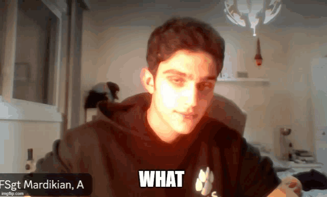 a man in a black hoodie says what in a video call