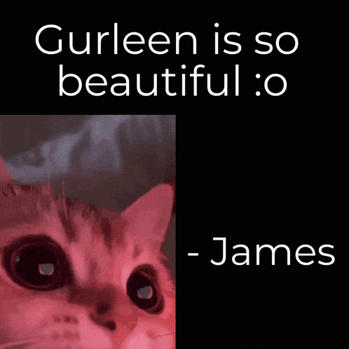 a picture of a cat next to the words gurleen is so beautiful o james