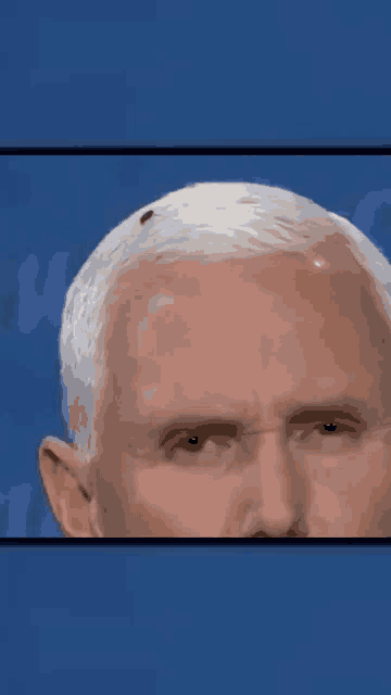a close up of a man 's head with a bug in it