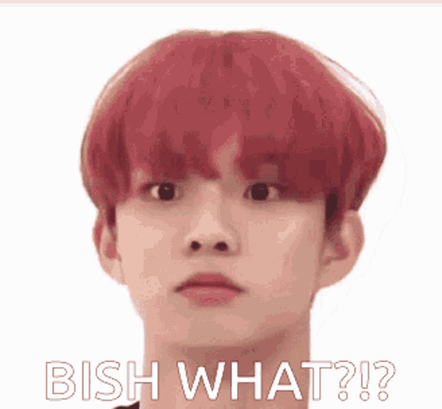 a young man with red hair is making a funny face and says ` ` bish what ? ` ` .