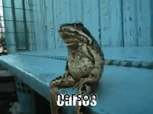 a frog is sitting on a bench and the word herson is on the bottom