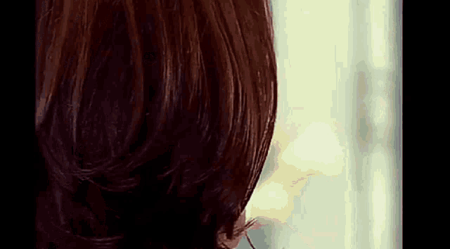 a close up of a woman 's hair against a window .