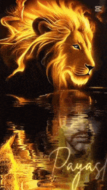 a painting of a lion with a reflection of a man in the water