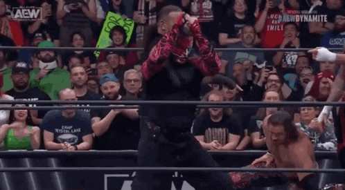 a wrestler in a ring with a crowd watching and a sign that says aew on it