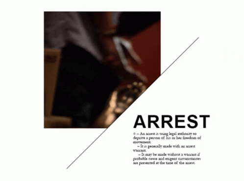 Arrest Meaning GIF - Arrest Meaning Definition GIFs