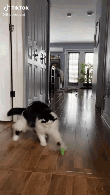 two cats are playing with a toy on a wooden floor .