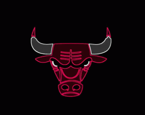 Chicago Bulls GIF - Chicago Chicago Bulls Sports GIFs