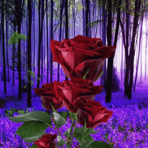 Köszönöm Flowers GIF - Köszönöm Flowers Roses GIFs