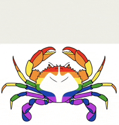 a drawing of a crab with a rainbow colored shell