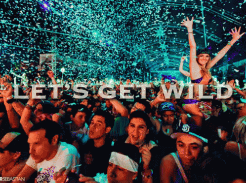 Lets Get Wild GIF - Wild Party GIFs
