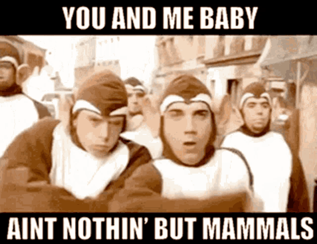 Bloodhound Gang Bad Touch GIF - Bloodhound Gang Bad Touch You And Me Baby GIFs