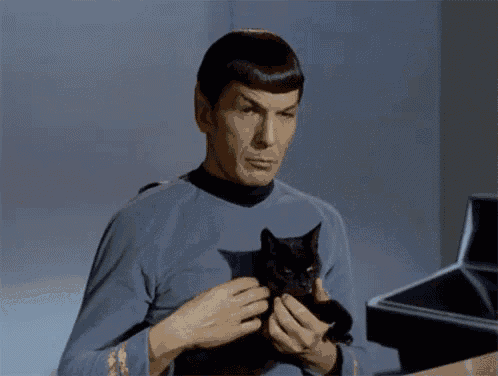 Spock Star Trek GIF - Spock Star Trek Serious GIFs