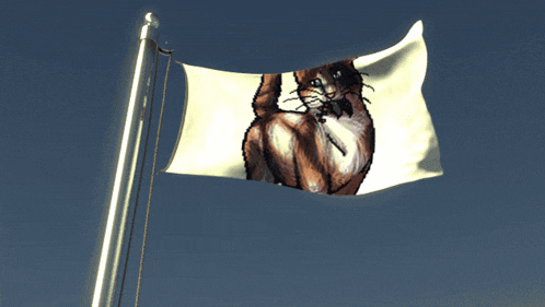 a flag with a picture of a cat on it is flying in the wind