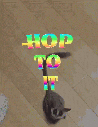 Get Back To Work Hop To It GIF - Get Back To Work Hop To It Back To Work GIFs