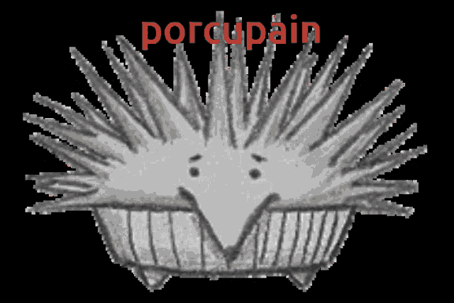 a black and white drawing of a hedgehog with the word porcupin written above it