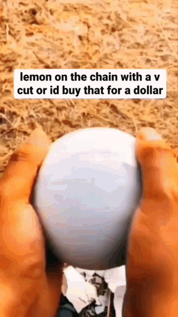 someone is holding a golf ball with a lemon on the chain with a v cut or id buy that for a dollar .