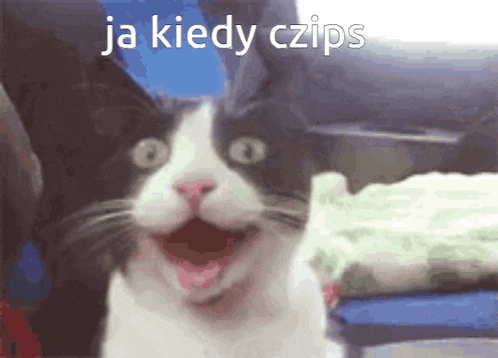 a black and white cat with its mouth wide open and the words ja kiedy czips written above it