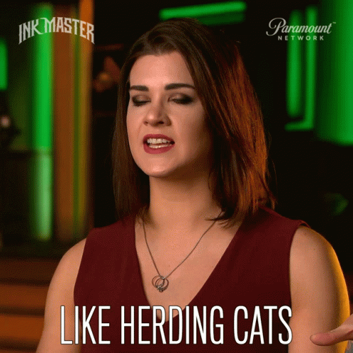 Like Herding Cats Difficult GIF - Like Herding Cats Difficult Impossible Task GIFs