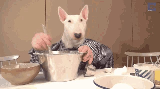 a dog with a man 's face is mixing ingredients in a bowl
