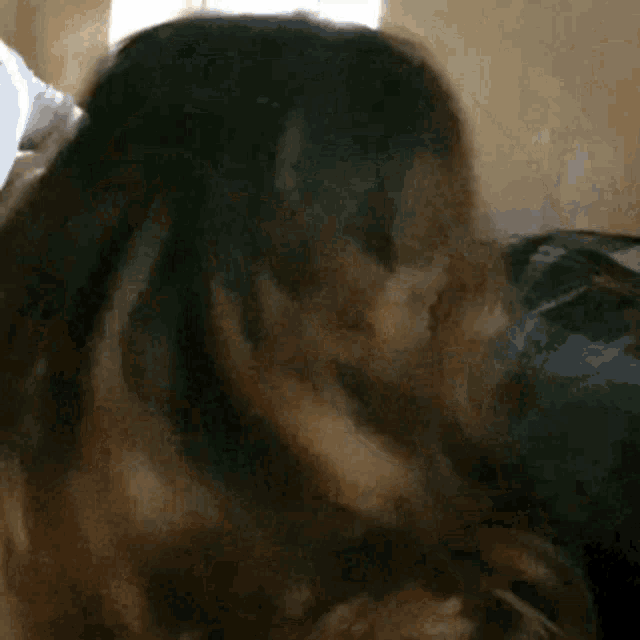 a close up of a person 's head with a dog 's head on it .