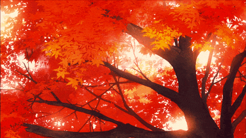 the sun is shining through the leaves of the tree