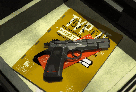 a pixelated image of a gun on top of a book titled " evolve "