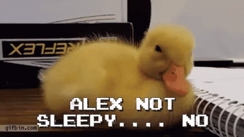 Duck Not Sleepy GIF - Duck Not Sleepy No GIFs