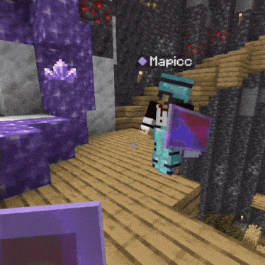 a video game character named mapicc is standing in a room
