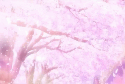 Card Captor Sakura Sakura GIF - Card Captor Sakura Sakura Cherry Blossom GIFs