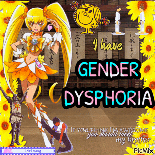 a poster that says " i have gender dysphoria " with a picture of a girl