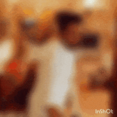 a blurry picture of a person standing in a room with the words inshot at the bottom
