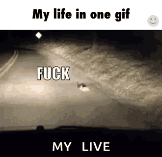 a cat is walking down a road at night with the words `` my life in one gif '' written on it .