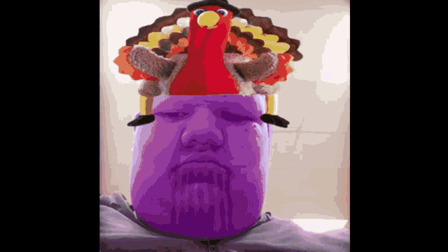 a man wearing a purple mask with a stuffed turkey on his head